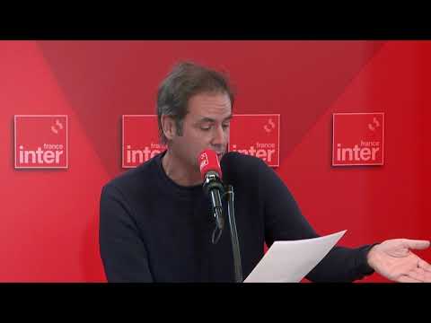 Dans une niche de chien, on se sent si bien – Le billet de Tanguy Pastureau