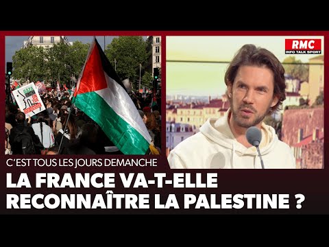 Arnaud Demanche : La France va-t-elle reconnaître la Palestine ?