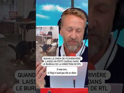 Quand le chien de Philippe Caverivière laisse un petit cadeau dans le bureau de la direction de RTL