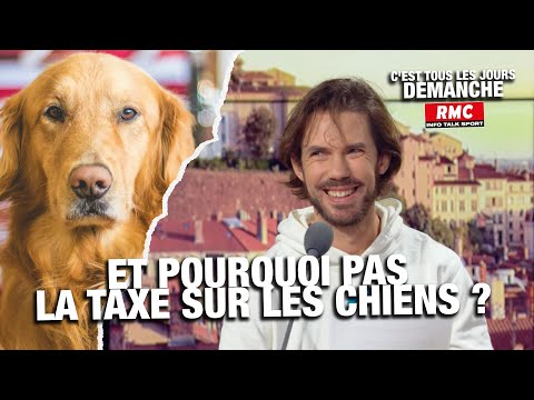 Arnaud Demanche: et pourquoi pas la taxe sur les chiens?