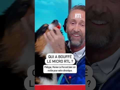 🐶 Mais qui a bouffé le micro de RTL ? 🤣