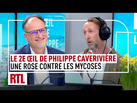 Une rose contre les mycoses